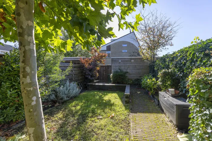 Tuin met verhoogde borders